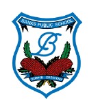 Banks Public School St Clair