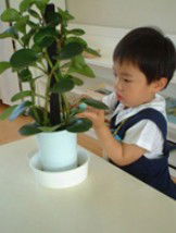 Australian Montessori Society - Education VIC 3