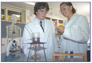 Trinity Catholic College (Auburn/Regents Park) - Education VIC 0