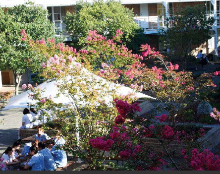 Moriah College - Education VIC 1