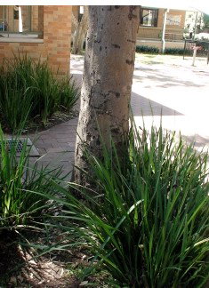 Northside Montessori School - Education VIC 1