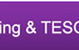 Institute Of Continuing And Tesol - thumb 0