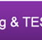 Institute of Continuing and Tesol