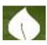 SA COLLEGE OF NATURAL AND TRADITIONAL MEDICINE PTY LTD