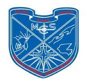 Mcauley Catholic Central School - Education VIC
