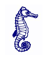 Albert Park Primary School - Education VIC 0