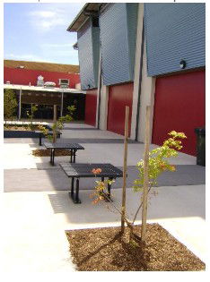 Wellington Secondary College - Education VIC 1