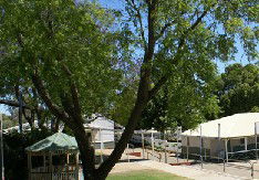Bindoon Primary School - Education VIC 1