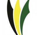 Ascot Park R-7 Specialist Physical Education and Sport School - Education VIC