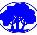 Mitcham Primary School - Education VIC