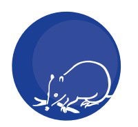 Mylor Primary School - Education VIC 0