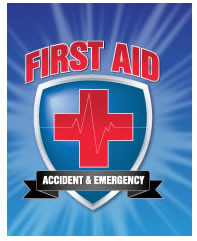 First Aid Accident And Emergency Courses - Education VIC 0