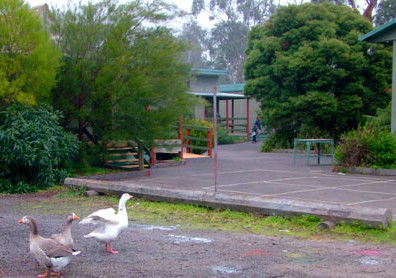 Village School Inc - Education VIC 1