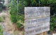 Manorvale Primary School - thumb 1