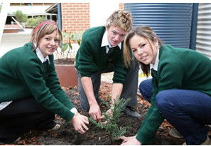 Aquinas College Ringwood - Education VIC 2