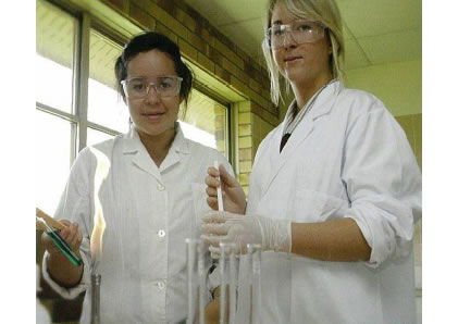 Chisholm Catholic College - Education VIC 3