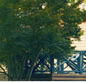 Sherbrooke Community School