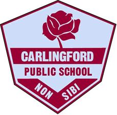 Carlingford Public School - Education VIC 0