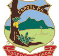 Carool Public School
