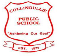 Corrimal Public School - Education VIC