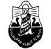 Culburra Public School