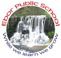 Ebor Public School - Education VIC