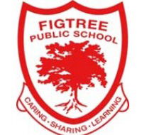Figtree Public School - Education VIC