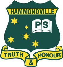 Hammondville NSW Education VIC