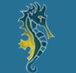 Narooma Golf Club - Education VIC