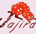 Jajirdi Consultants - Education VIC