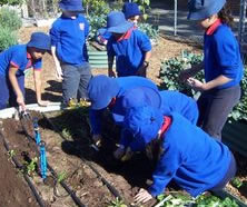 Beckenham Primary School - Education VIC 1