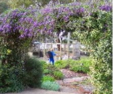Rosalie Primary School - Education VIC 1