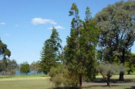 Lake Monger Primary School - Education VIC 0