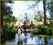 Bellrowan Valley Horse Riding - Education VIC 2