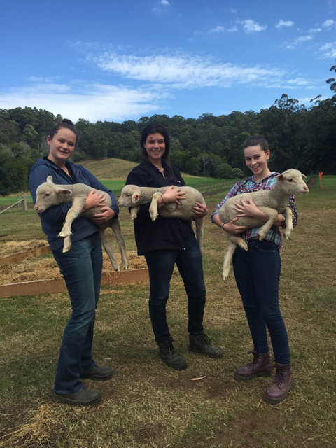 Glasshouse Christian College - Education VIC 4