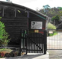 Treetops Montessori Primary School - Education VIC