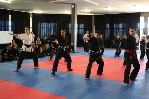 Wyatt's MMA - Education VIC 0