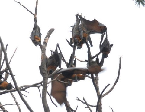 School Incursions Melbourne - Education VIC 0