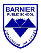 Barnier Public School - Education VIC 0
