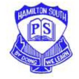 Hamilton South Public School - Education VIC 0