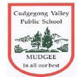 Cudgegong Valley Public School - Education VIC