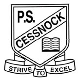 Cessnock Public School - Education VIC 0