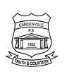 Camdenville Public School - Education VIC 0