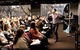 The Coaching Institute - thumb 5