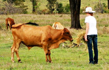 Alkoomi Outback Skills Farm - Education VIC 2