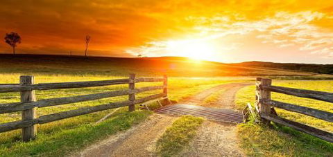 Alkoomi Outback Skills Farm - Education VIC 6