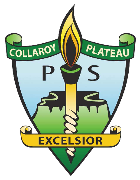 Collaroy Plateau Public School - Education VIC 0