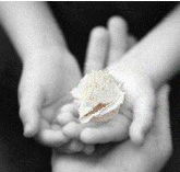 Castlecrag Montessori School - Education VIC
