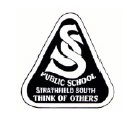 Strathfield South Public School - Education VIC