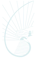 Cape Byron Rudolf Steiner School - Education VIC